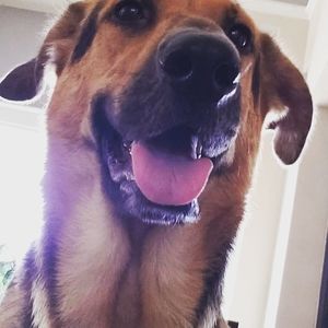 Meet your Posher, Zechariah